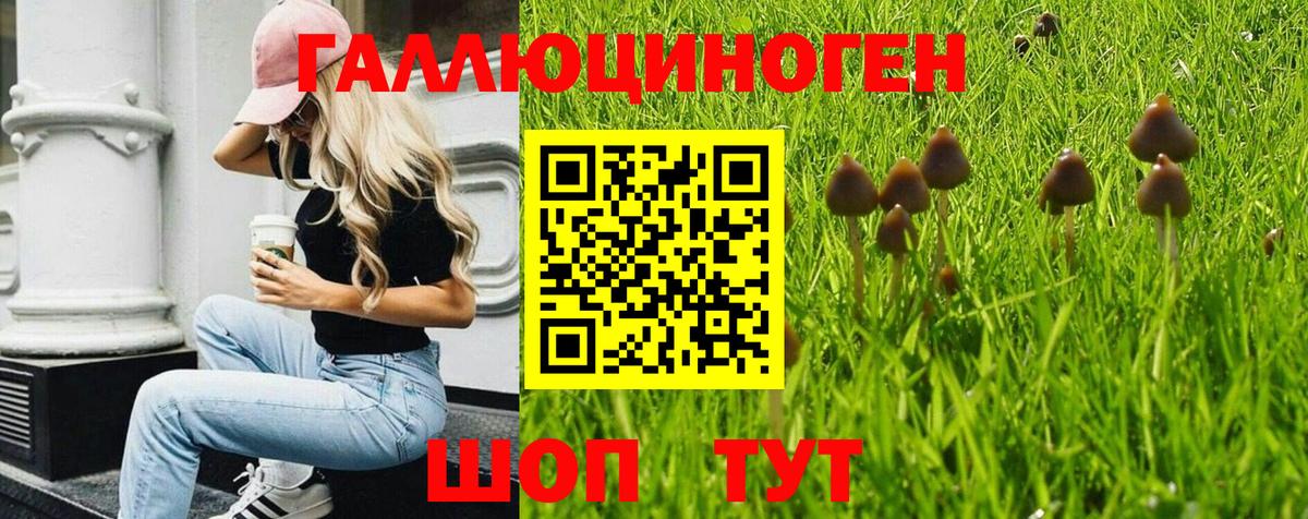 Галлюциногенные грибы мицелий Ангарск