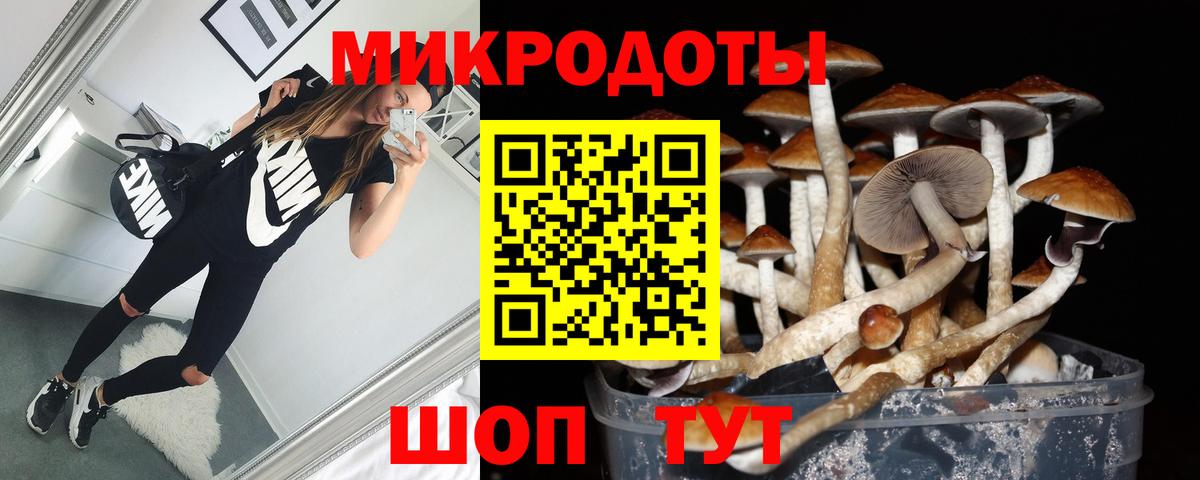 Галлюциногенные грибы ЛСД  Галлюциногенные грибы GOLDEN TEACHER  Вход с VPN  Ангарск 